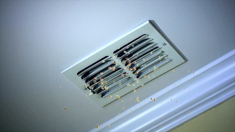 Best Air Duct Sanitizing Services  in Druid Hills, GA